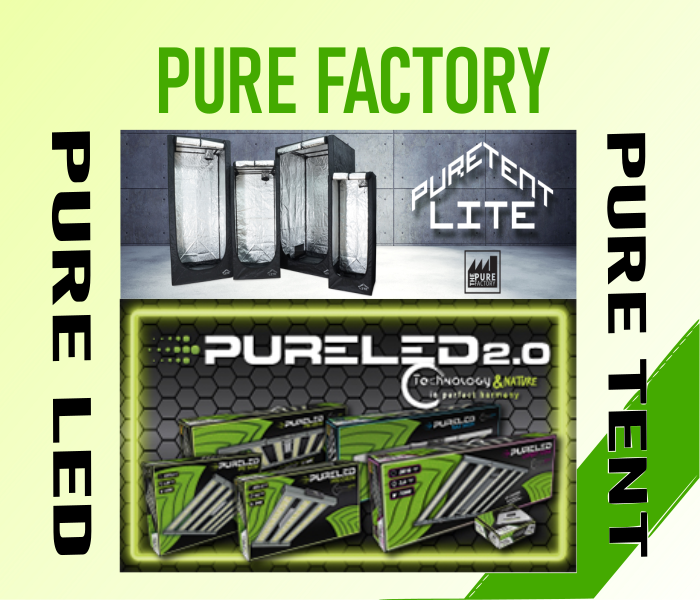 pure factory
