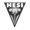 Hesi