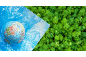 PLASTIK UND VERSCHMUTZUNG - Cannabis als Eine Alternative?
