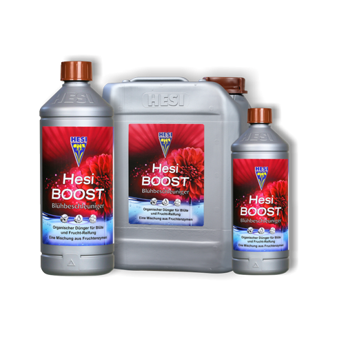 HESI BOOST
