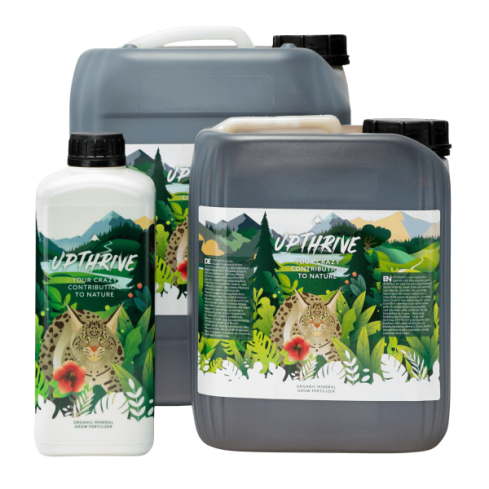 Crazy Hills Upthrive