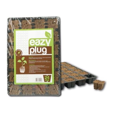 Eazy Plug CT24