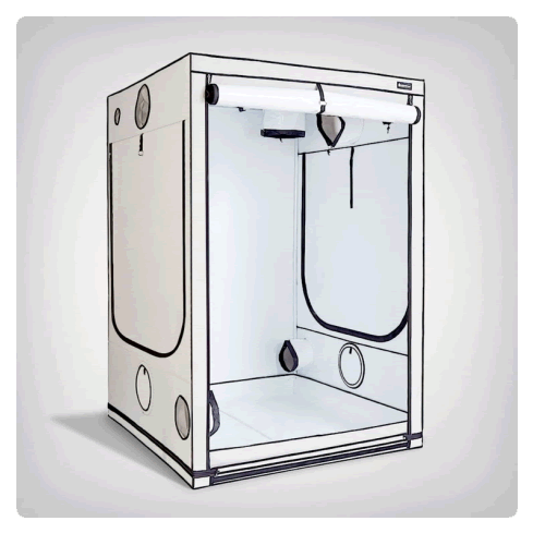 HOMEBOX Ambient Q150 Plus 150 x 150 x 220cm