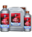 HESI BOOST