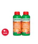 Bio Nova Coco-Forte A+B