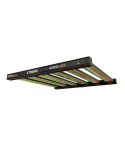 Dimlux Xtreme Series LED 500W