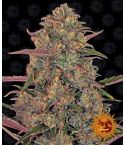 BARNEY`S FARM Pineapple Chunk