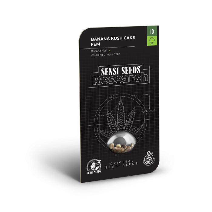 SENSI SEEDS Research Banana Kush Cake