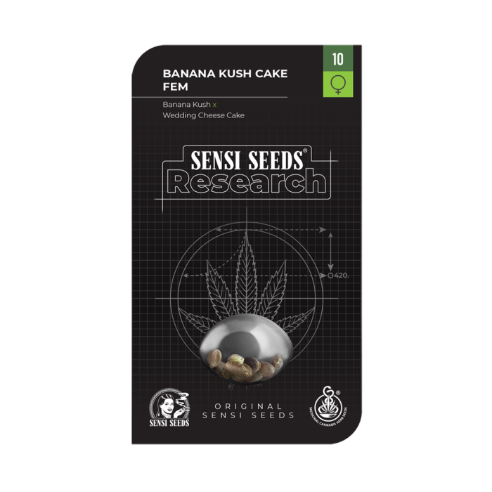 SENSI SEEDS Research Banana Kush Cake