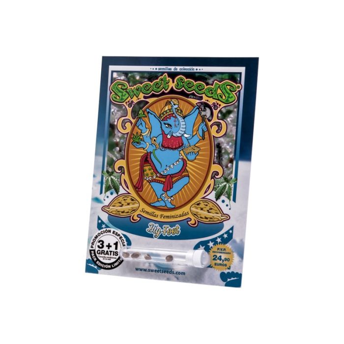 SWEET SEEDS Big Foot