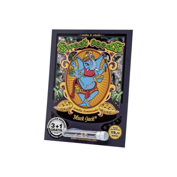 SWEET SEEDS Black Jack