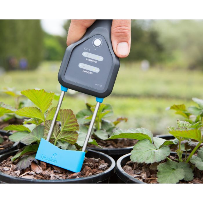 BLUELAB Pulse Meter Multimedia EC