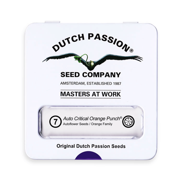 Dutch Passion Auto Critical Orange Punch Auto