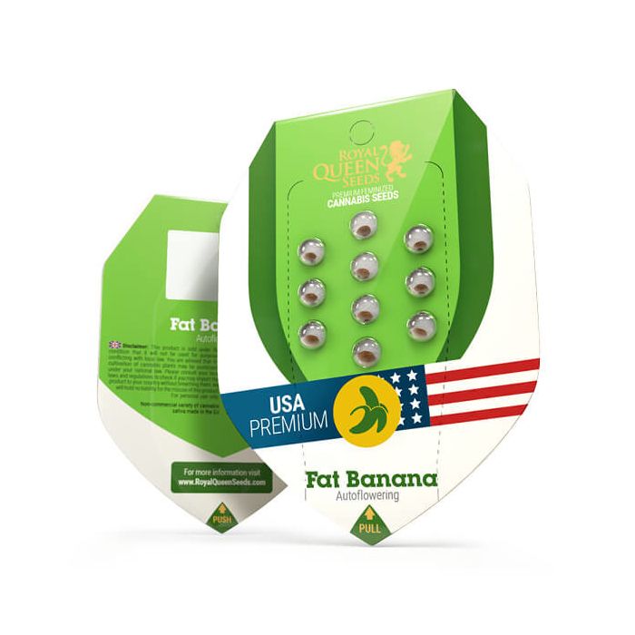 Royal Queen Seeds Fat Banana Automatic