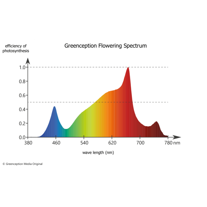 GREENCEPTION GC Bar 8