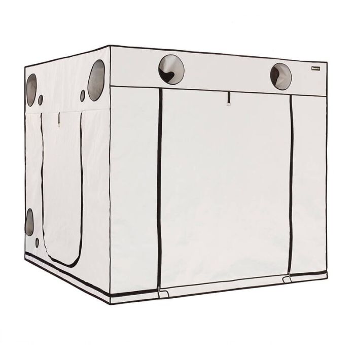 HOMEBOX Ambient Q240 Plus 240 x 240 x 220cm