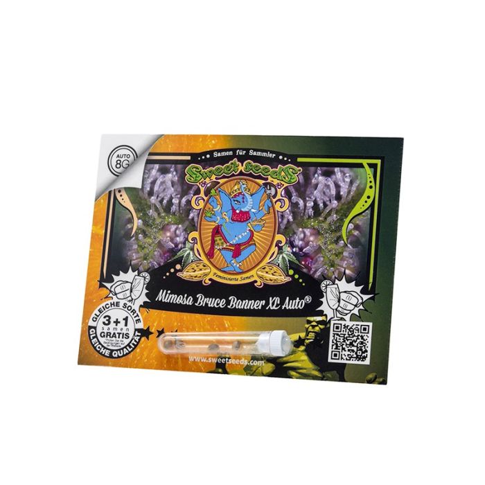 Sweet Seeds Mimosa Bruce Banner XL Auto