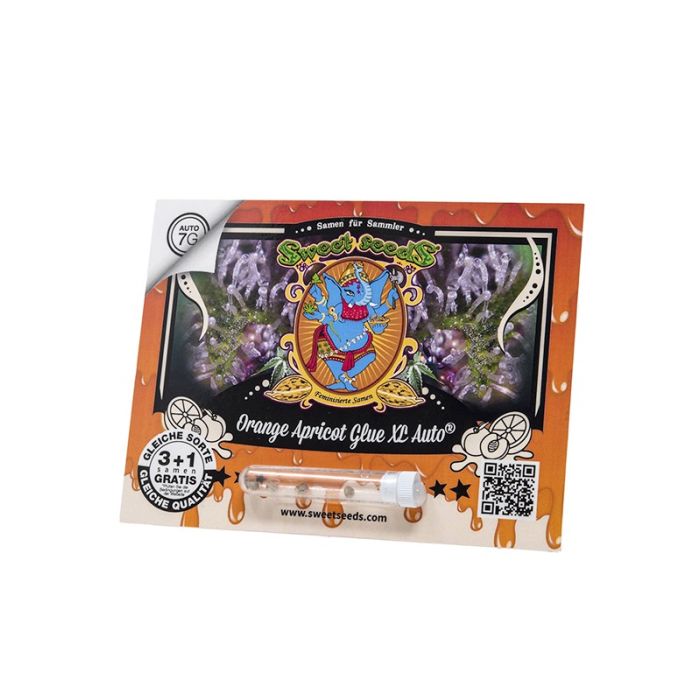 Sweet Seeds  Orange Apricot Glue XL Auto