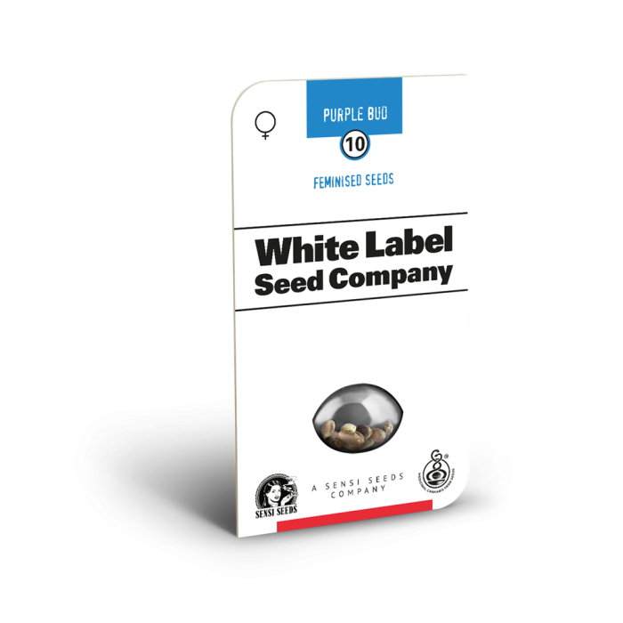Sensi White Label - Purple bud