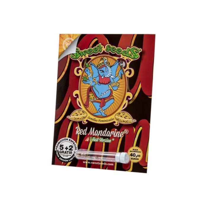 SWEET SEEDS Red Mandarine F1 Fast Version