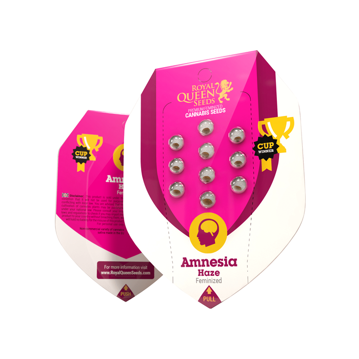 ROYAL QUEEN SEEDS Amnesia Haze