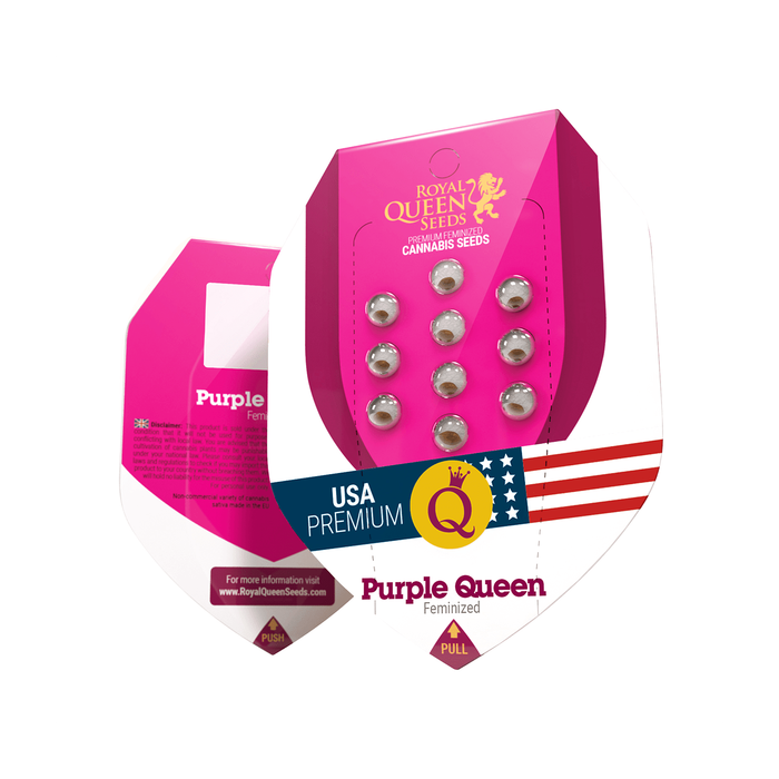 Royal Queen Purple Queen