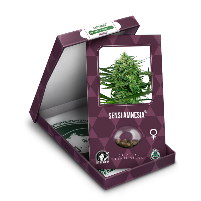 SENSI SEEDS Sensi Amnesia