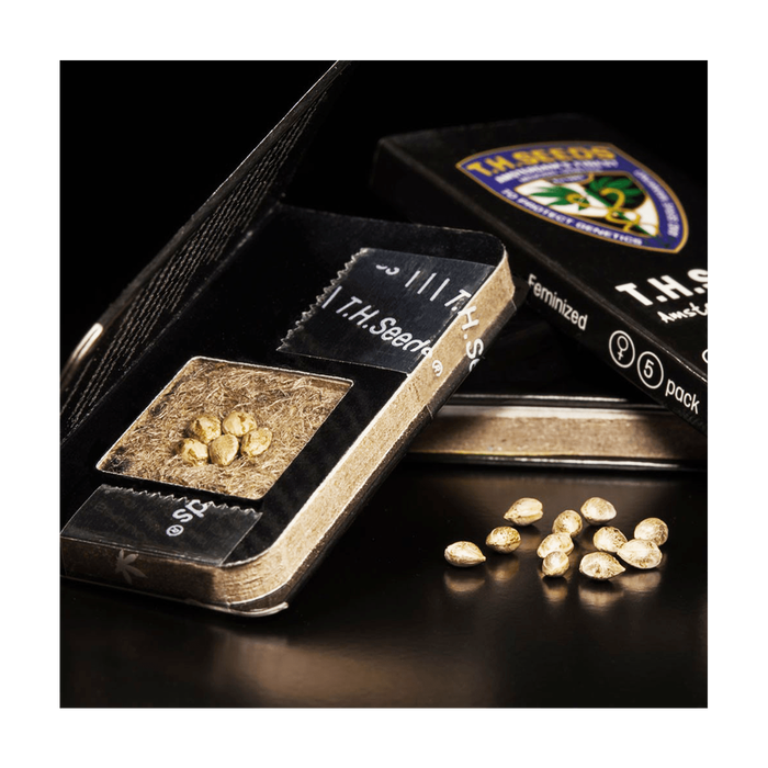 T.H. SEEDS Bubblegum