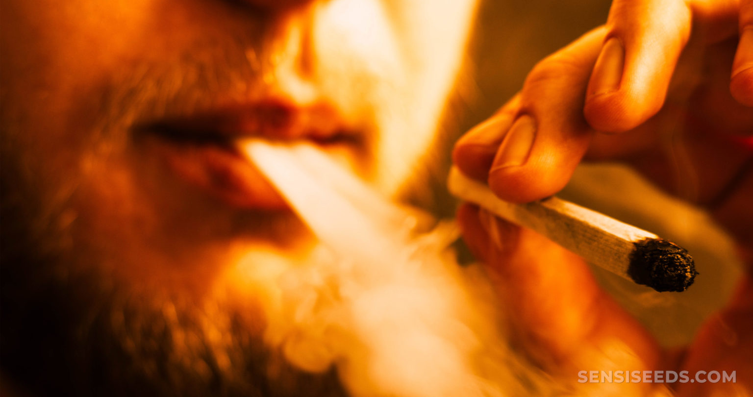 Rauchen von Cannabis vs. Tabak: Ist Cannabis weniger schädlich?